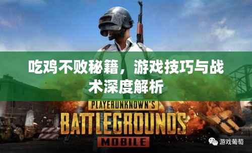 吃鸡不败秘籍,游戏技巧与战术深度解析