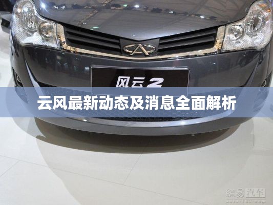 云风最新动态及消息全面解析