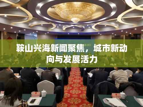 鞍山兴海新闻聚焦，城市新动向与发展活力