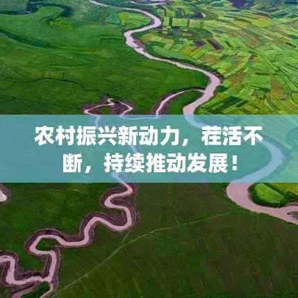 风流儒雅 第4页