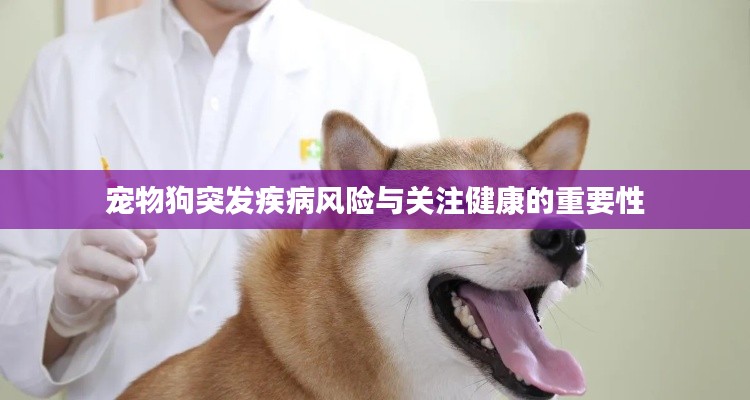 宠物狗突发疾病风险与关注健康的重要性