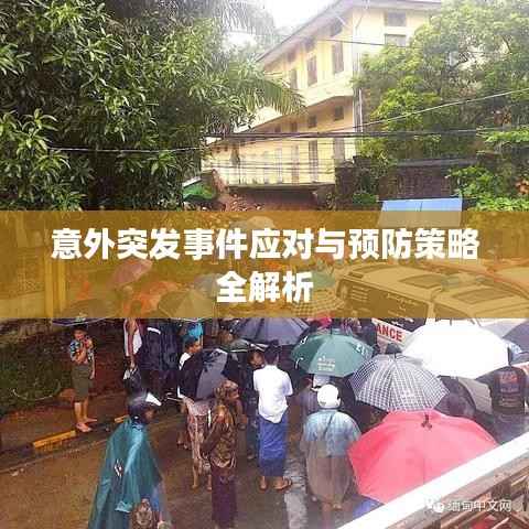 意外突发事件应对与预防策略全解析
