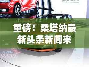 还淳反素 第4页