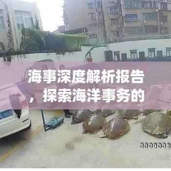 海事深度解析报告，探索海洋事务的奥秘