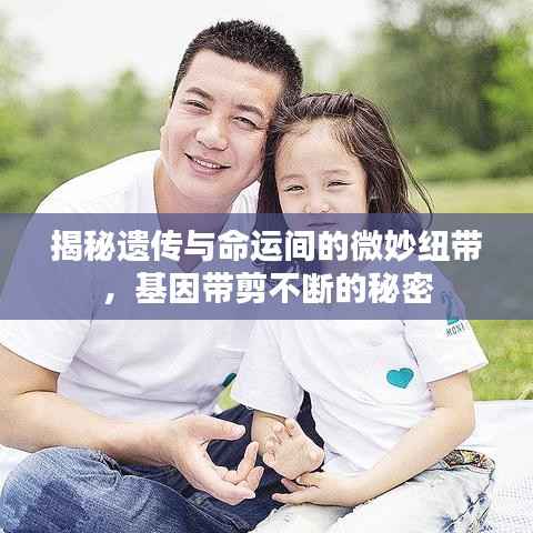 揭秘遗传与命运间的微妙纽带,基因带剪不断的秘密