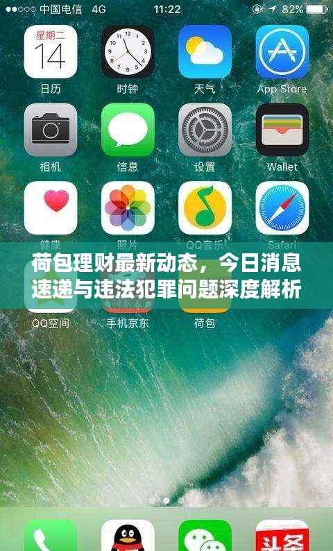 荷包理财最新动态,今日消息速递与违法犯罪问题深度解析