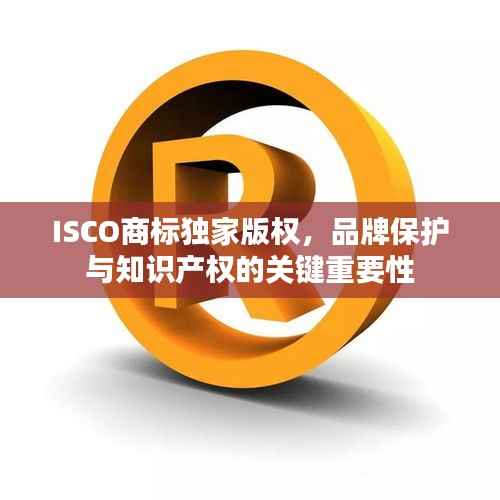 ISCO商标独家版权,品牌保护与知识产权的关键重要性