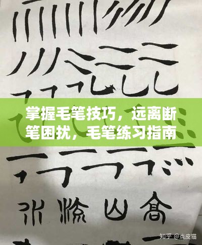 逆风飞扬 第4页