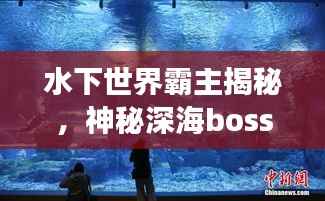 水下世界霸主揭秘,神秘深海boss力量排名与荣耀展现