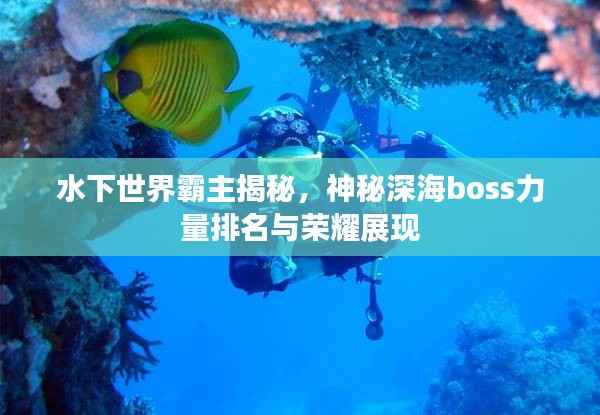 水下世界霸主揭秘,神秘深海boss力量排名与荣耀展现