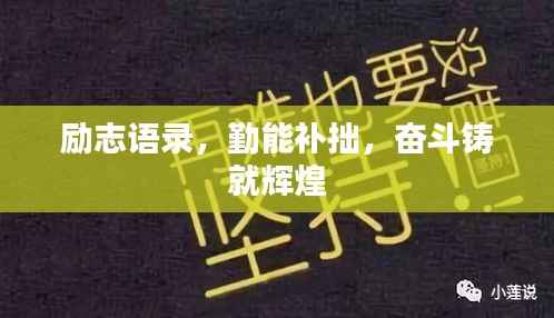 励志语录,勤能补拙,奋斗铸就辉煌