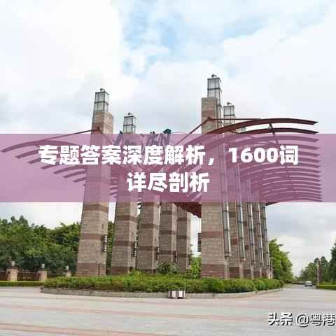 专题答案深度解析,1600词详尽剖析