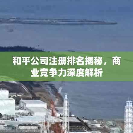 和平公司注册排名揭秘,商业竞争力深度解析