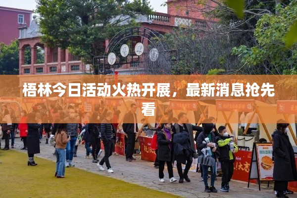 梧林今日活动火热开展,最新消息抢先看