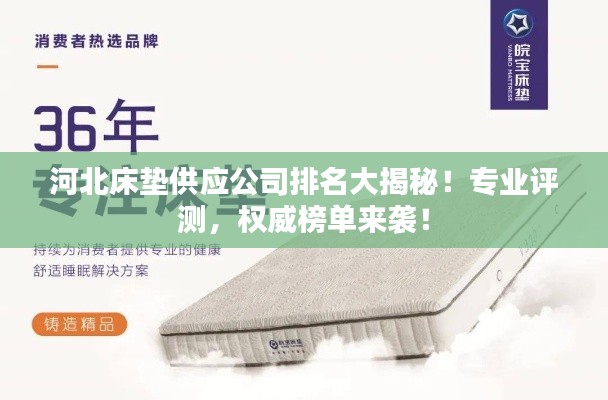 河北床垫供应公司排名大揭秘！专业评测，权威榜单来袭！