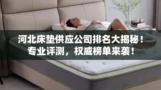 河北床垫供应公司排名大揭秘!专业评测,权威榜单来袭!