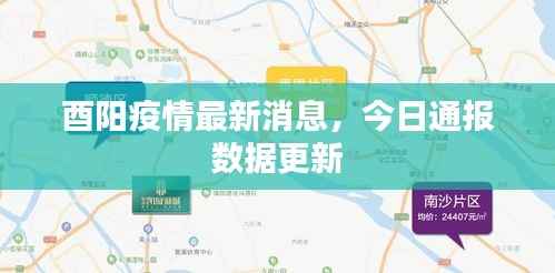 酉阳疫情最新消息,今日通报数据更新