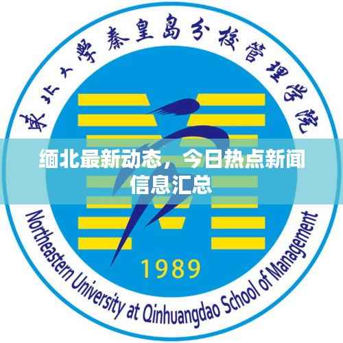 缅北最新动态,今日热点新闻信息汇总