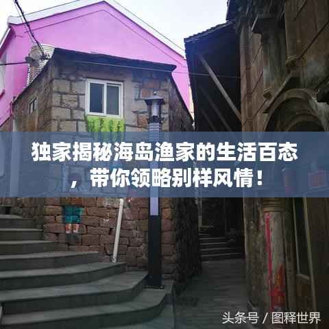 独家揭秘海岛渔家的生活百态，带你领略别样风情！