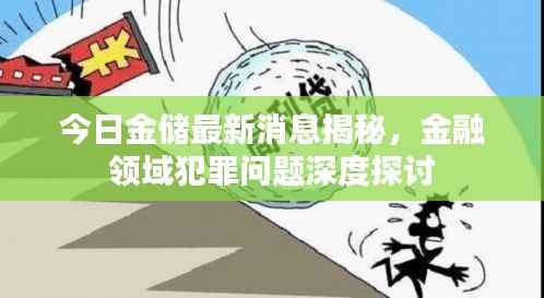 今日金储最新消息揭秘,金融领域犯罪问题深度探讨