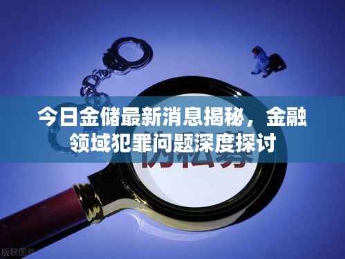 今日金储最新消息揭秘,金融领域犯罪问题深度探讨