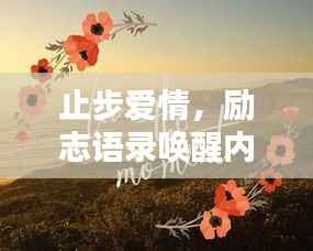 止步爱情,励志语录唤醒内心力量