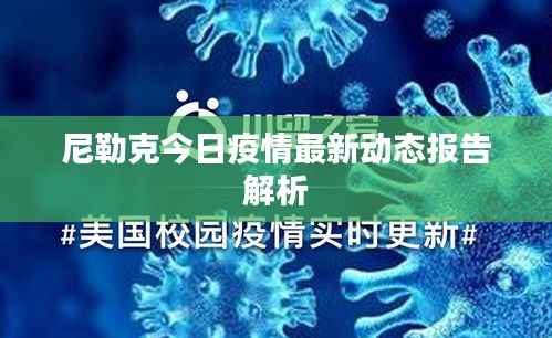 尼勒克今日疫情最新动态报告解析