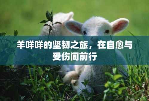 羊咩咩的坚韧之旅,在自愈与受伤间前行