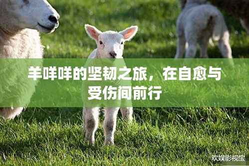 羊咩咩的坚韧之旅,在自愈与受伤间前行