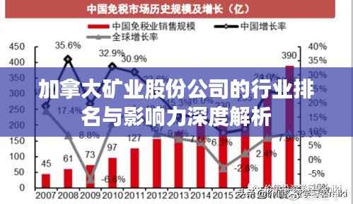 加拿大矿业股份公司的行业排名与影响力深度解析