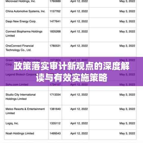 政策落实审计新观点的深度解读与有效实施策略