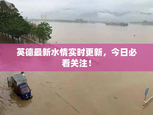英德最新水情实时更新,今日必看关注!