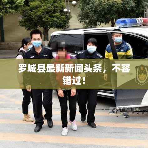 罗城县最新新闻头条,不容错过!