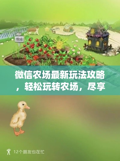 微信农场最新玩法攻略,轻松玩转农场,尽享乐趣无限!