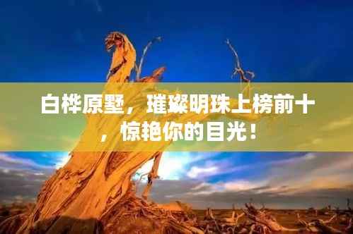 白桦原墅,璀璨明珠上榜前十,惊艳你的目光!