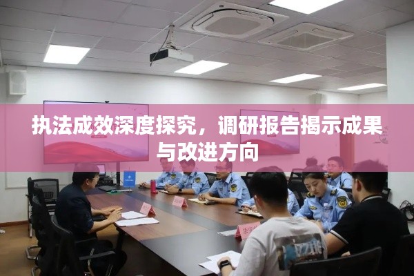 执法成效深度探究，调研报告揭示成果与改进方向
