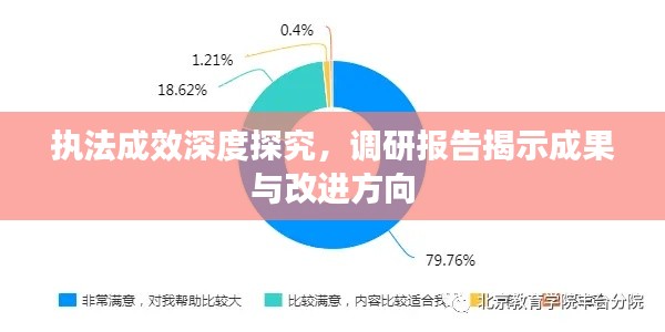 执法成效深度探究,调研报告揭示成果与改进方向