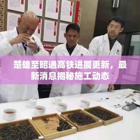 楚雄至昭通高铁进展更新，最新消息揭秘施工动态