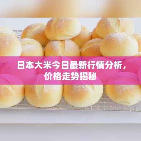 日本大米今日最新行情分析,价格走势揭秘
