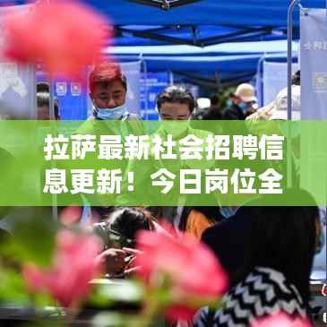 拉萨最新社会招聘信息更新！今日岗位全解析