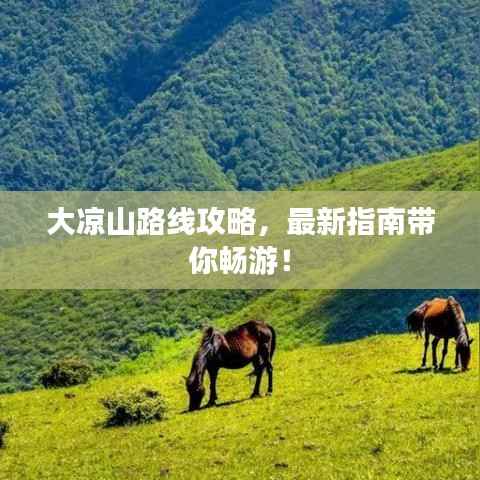 椎髻布衣 第4页