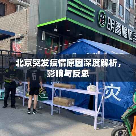 北京突发疫情原因深度解析,影响与反思