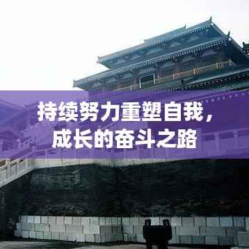 持续努力重塑自我,成长的奋斗之路