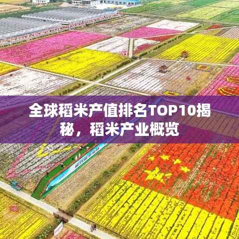 全球稻米产值排名TOP10揭秘,稻米产业概览