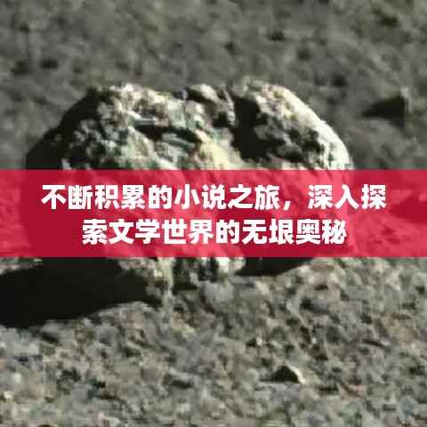 不断积累的小说之旅,深入探索文学世界的无垠奥秘