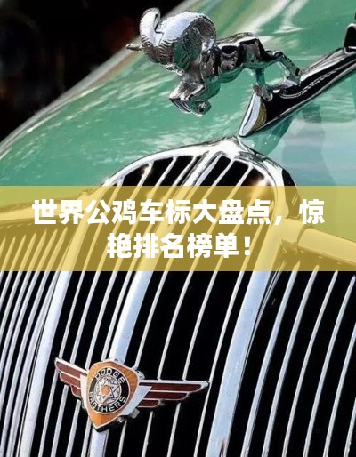 世界公鸡车标大盘点,惊艳排名榜单!