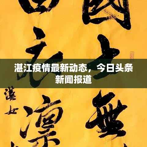 湛江疫情最新动态，今日头条新闻报道
