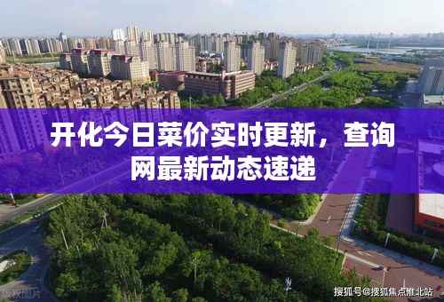开化今日菜价实时更新,查询网最新动态速递