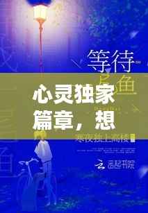 心灵独家篇章,想念的旋律与回响