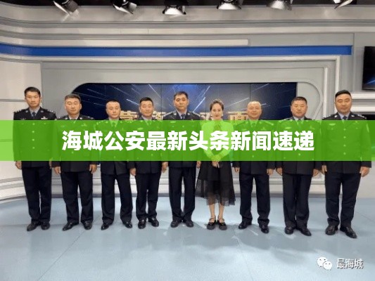 海城公安最新头条新闻速递